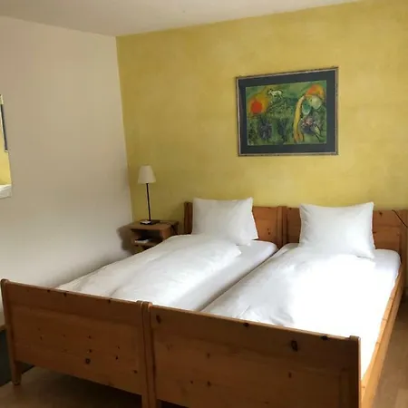 Casa de hóspedes Adler Garni 3*