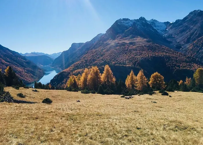 Maison d'hôtes Adler Garni
